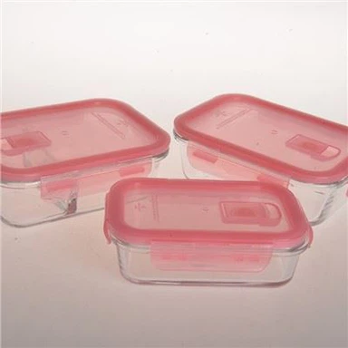 BPA Free Glass Bento Boxes for Lunch