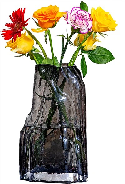 Creative Special shaped Glass Vase