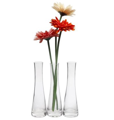 Transparent Glass Flower Vase