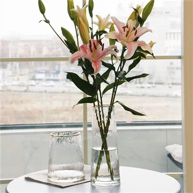 Conical Glass Vase